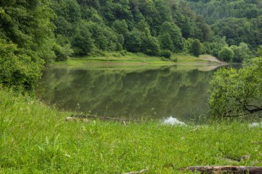 Majdanpek 'ten çok uzak olmayan güzel bir göl. Veliki Zaton.