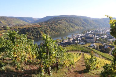 panoramic view of a little town in the distance seen through the grapevines in fall colors