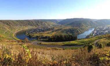 horse shoe bend in the Moselle river with surrounding vineyards in fall coloring