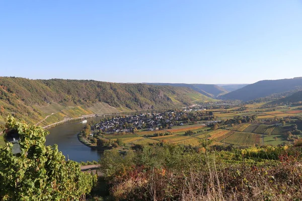 horse shoe bend in the Moselle river with surrounding vineyards in fall coloring