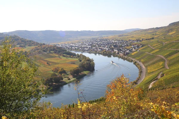Ship Traveling Bend Moselle River Vineyard Fall Colors Both Sides — Foto Stock