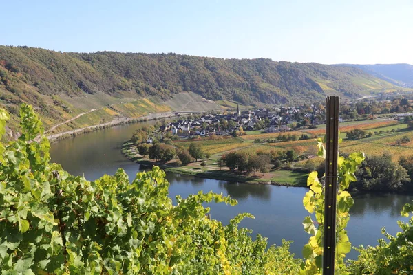 Little Town River Bend Moselle River Vineyards Hills Other Side — Stok fotoğraf