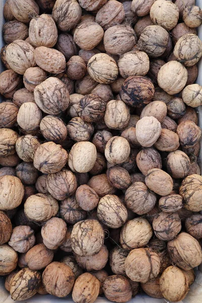 Racimo Nueces Recién Recogidas — Foto de Stock