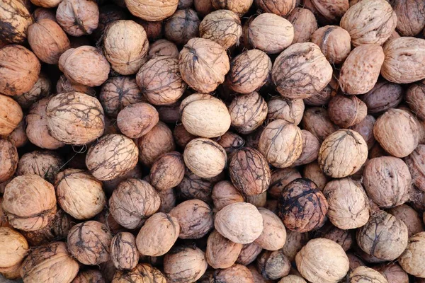 Sekelompok Kacang Kenari Yang Baru Dikumpulkan — Stok Foto