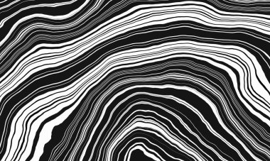 Abstract black and white layer. Geological structure. Rock folding. Anticline and cyncline. clipart