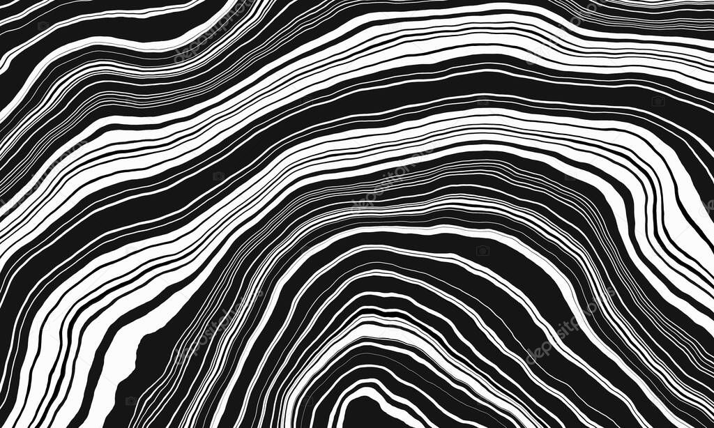 Abstract black and white layer. Geological structure. Rock folding. Anticline and cyncline.