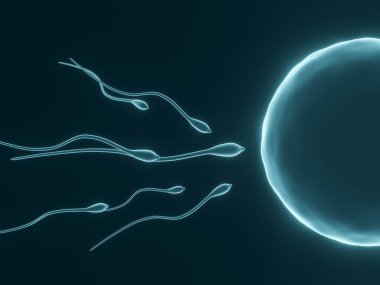 3 boyutlu görüntüleme. Mavi mikroskobik sperm ve yumurta hücresi.
