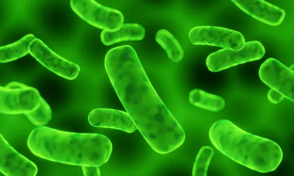 Ilustración Bacterias Microscópicas Verdes —  Fotos de Stock