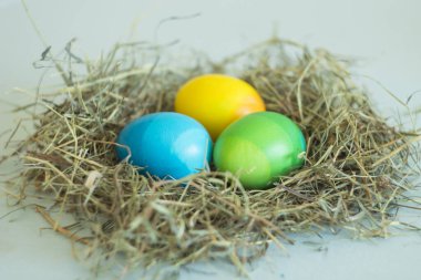 Ombre renkleri. Paskalya yumurtaları yuvada yatıyor. Arka plan ise tarafsız.