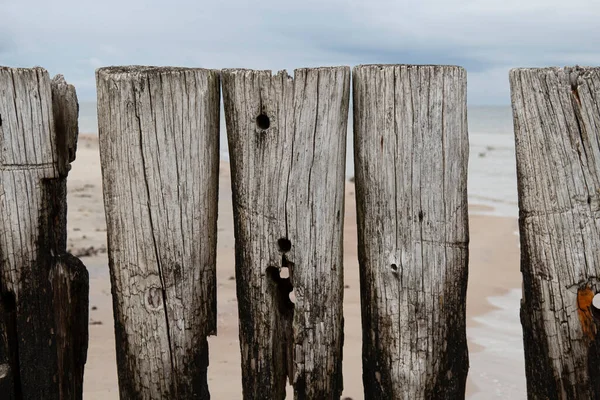 pillars made of aged wood - the remains of an old pedestrian bridge on the shores of the baltic sea