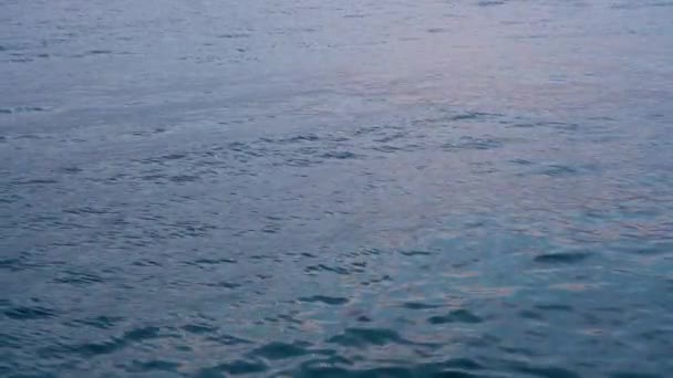 Vibratie van zeewater in de avond — Stockvideo