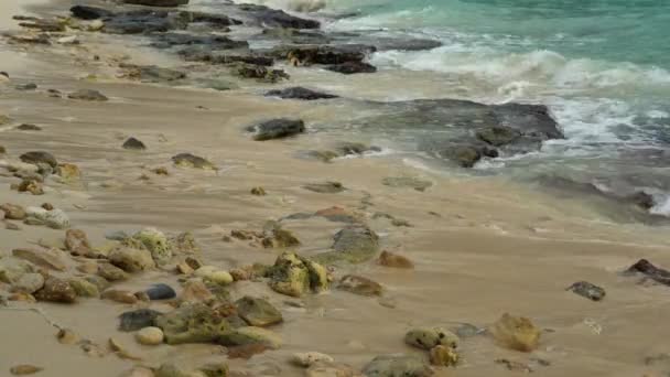 Κύματα και πέτρες δίπλα στη θάλασσα — Αρχείο Βίντεο