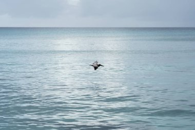 Deniz ufkunun üzerinde bulutlu bir gün