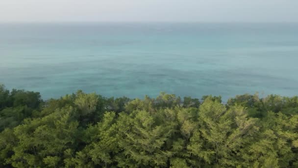 青い海の緑のジャングル — ストック動画
