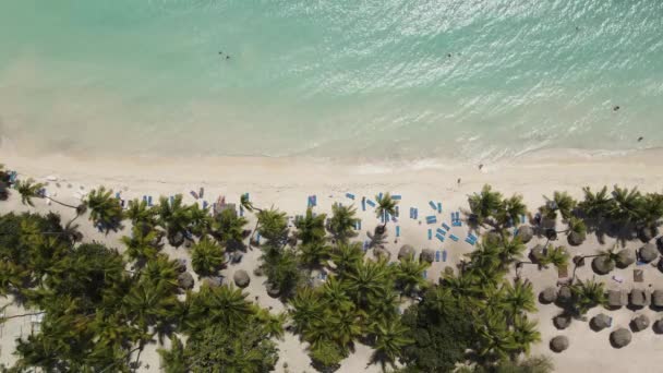 Pobřeží turistické pláže s lehátky a pláží — Stock video