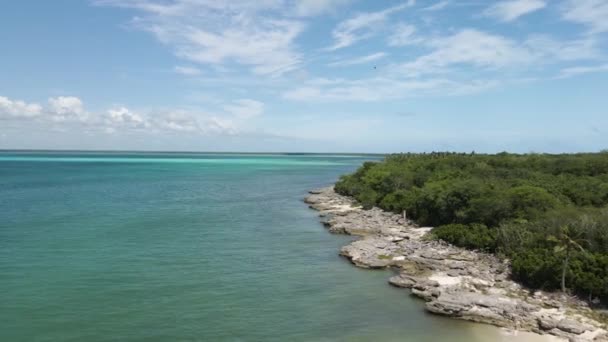 Kamenný ostrov se zelení na pobřeží — Stock video