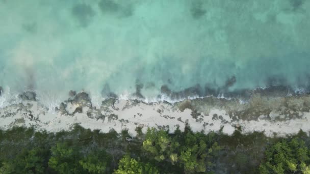Pohled shora na pláž a oceán — Stock video