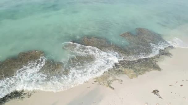 Волны ударяют по дикому песчаному пляжу — стоковое видео
