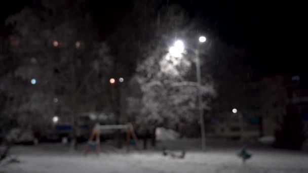 夜の冬の孤独な庭 — ストック動画