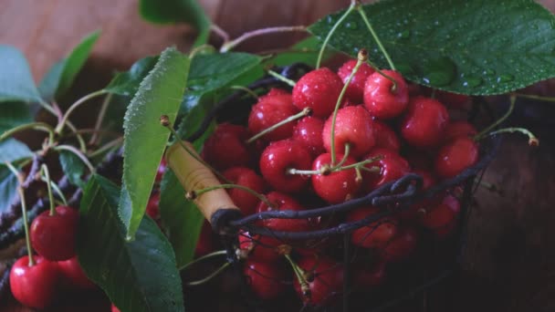 バスケット内の水の滴と赤い熟した甘いチェリーのクローズアップ — ストック動画
