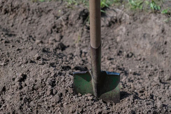 Soil Shovel Close Gardening Shovel Garden — Stock Photo, Image