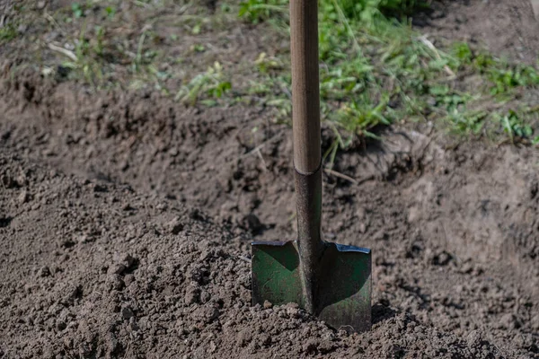 Soil Shovel Close Gardening Shovel Garden — Stock Photo, Image