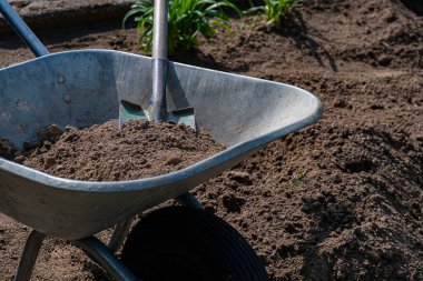 Bahçede kürek ve el arabası. Bahçıvanlık. Bahçede kürek