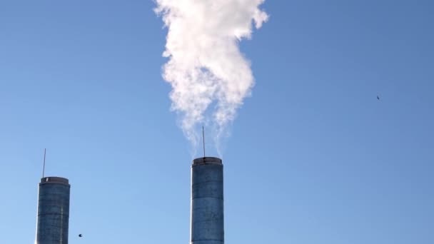 烟斗里冒出来的烟供热系统的运行 有害的大气排放 — 图库视频影像