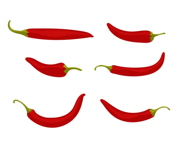 Conjunto de pimentas vermelhas quentes. pod de estilo plano de pimenta para design de pacote de especiarias, decoração do livro de culinária. Isolado em fundo branco. Ilustração vetorial — Vetor de Stock