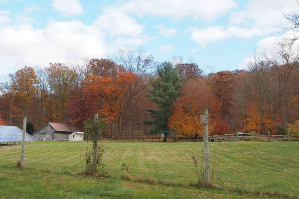 Colorful Trees Foreground Rural Farm — Stock Photo, Image