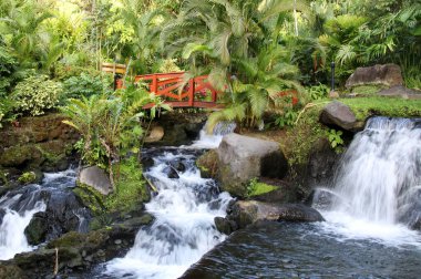 Köprü, Kosta Rika 'daki egzotik bir tatil köyünde şelalenin üzerinde..