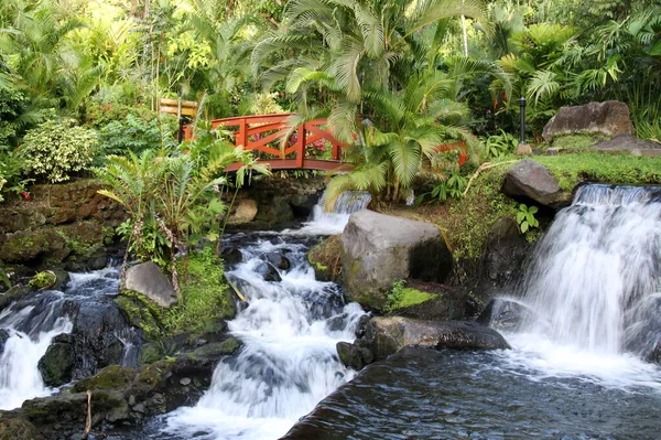 Köprü, Kosta Rika 'daki egzotik bir tatil köyünde şelalenin üzerinde..