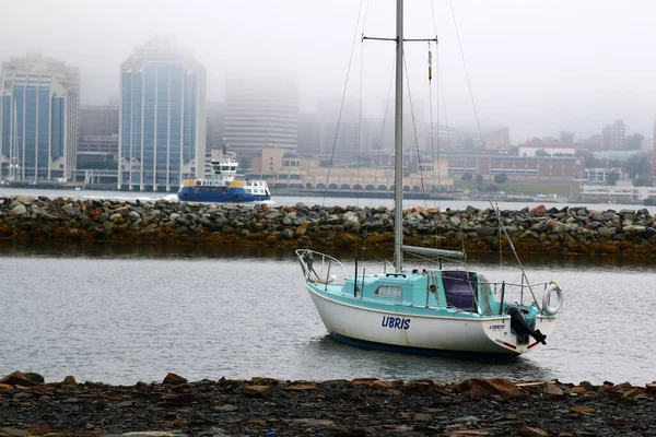 Zeilboot Een Kleine Inham Met Halifax Nova Scotia Achtergrond — Stockfoto