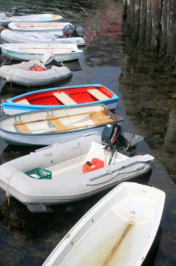 Bu tekneler Lunenburg, Nova Scotia 'da küçük bir körfezde demirli..