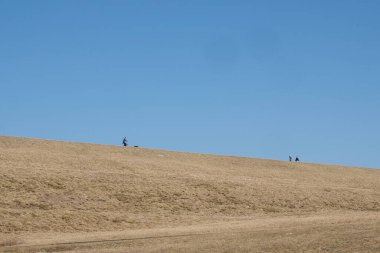 Parkta, insanların yürüyüşe çıktığı ılık bir kış günü..
