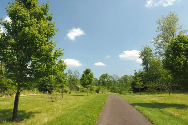 Yol doğruca çayıra çıkıyor..