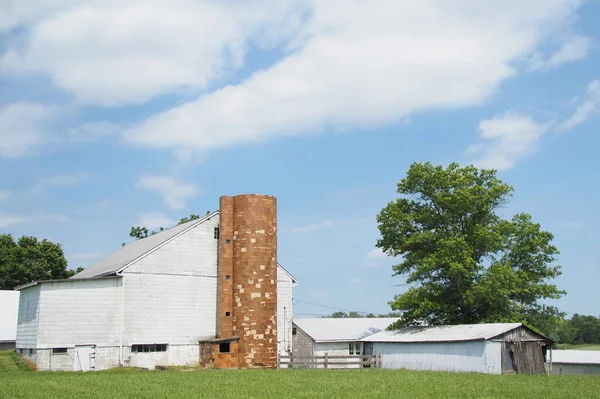 Fazenda Tem Alguns Edifícios Silo — Fotografia de Stock