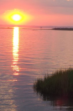 The ducks are swimming in the bay just before the sun sets, 