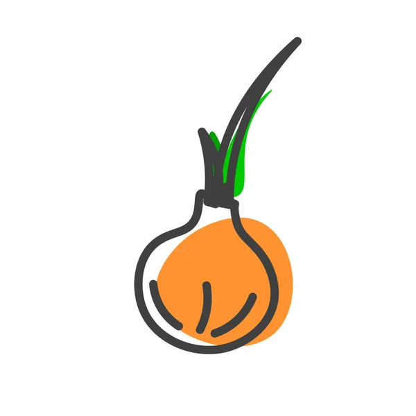 Icône Linéaire Oignon Symbole Fruit Concept Logo Illustration Vectorielle Isolée — Image vectorielle