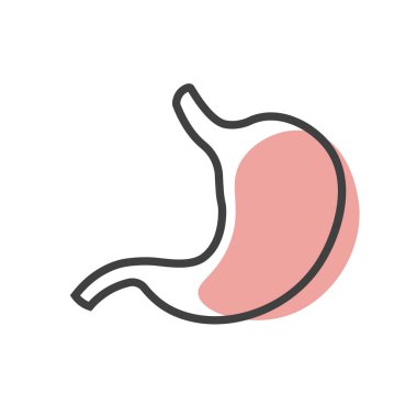 human stomach linear icon. Nutrition, stomach pain, bloating. Digestive system anatomy. Vector illustration isolated on white background.