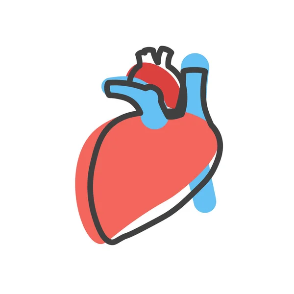 Human Heart Linear Icon Internal Organ Cardiology Concept Vector Illustration — стоковый вектор