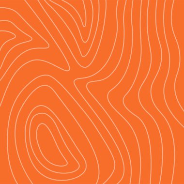 Soyut somon fileto dokusu. Balık deseni. Yiyecek ambalajı için vektör arkaplanı.