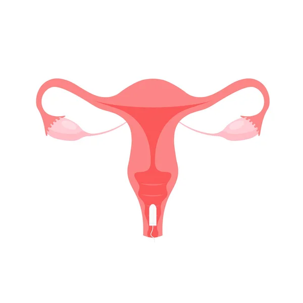 Appareil Reproducteur Féminin Tampon Menstruel Protection Des Femmes Dans Les — Image vectorielle