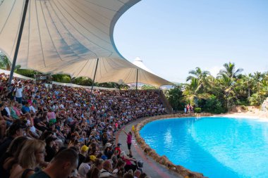 Tenerife, İspanya - Ağustos 2022: İnsanlar Tenerife 'deki Loro Parque' da Dolphin Show 'u izliyor