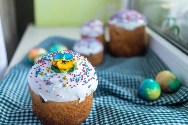 Söğüt dalları ve mavi ile Paskalya pastası, koyu arkaplanda leylak yumurtaları..