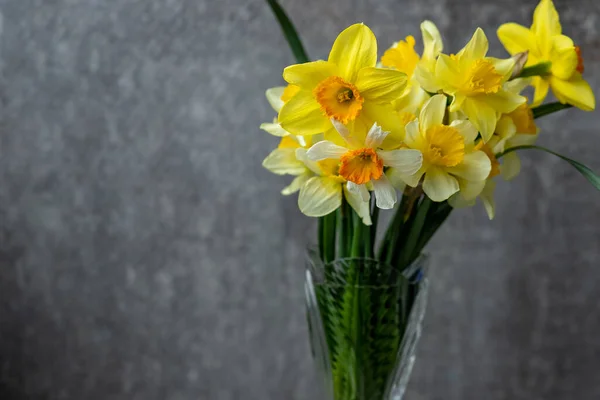Fundo Grunge Panorâmico Com Flores Amarelo Narciso Padrão Com Buquê — Fotografia de Stock