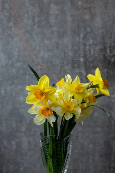 Fond Grunge Panoramique Avec Des Fleurs Jonquilles Jaunes Motif Avec — Photo