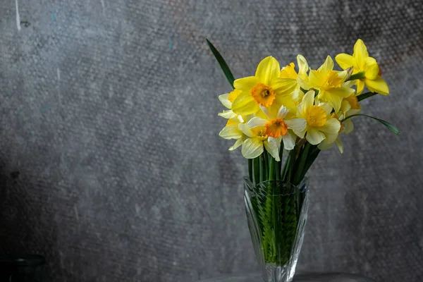 Panoramatické Grunge Pozadí Žlutými Narcisy Květiny Vzor Kyticí Narcisů Květiny — Stock fotografie