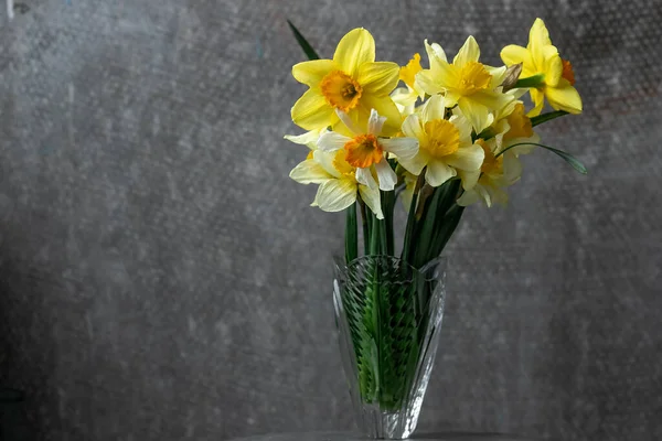 Sarı nergis çiçekli panoramik grunge arka plan. Karanlık bir arka planda nergis çiçekli desen. Kopya alanı ile geniş açı web pankartı modellemesi.