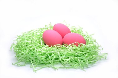 Beyaz arka planda yalıtılmış yumurta ya da korunmuş yumurta